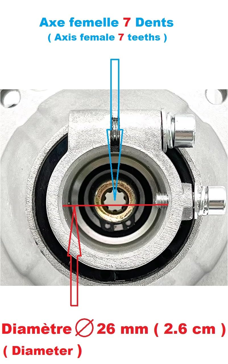 Pieza de repuesto original Fabricante: Campana de embrague para tubo 26 MM/eje 7 dientes para desbrozadora o máquina multifunción 5 en 1, comprueba tu modelo antes de realizar el pedido!