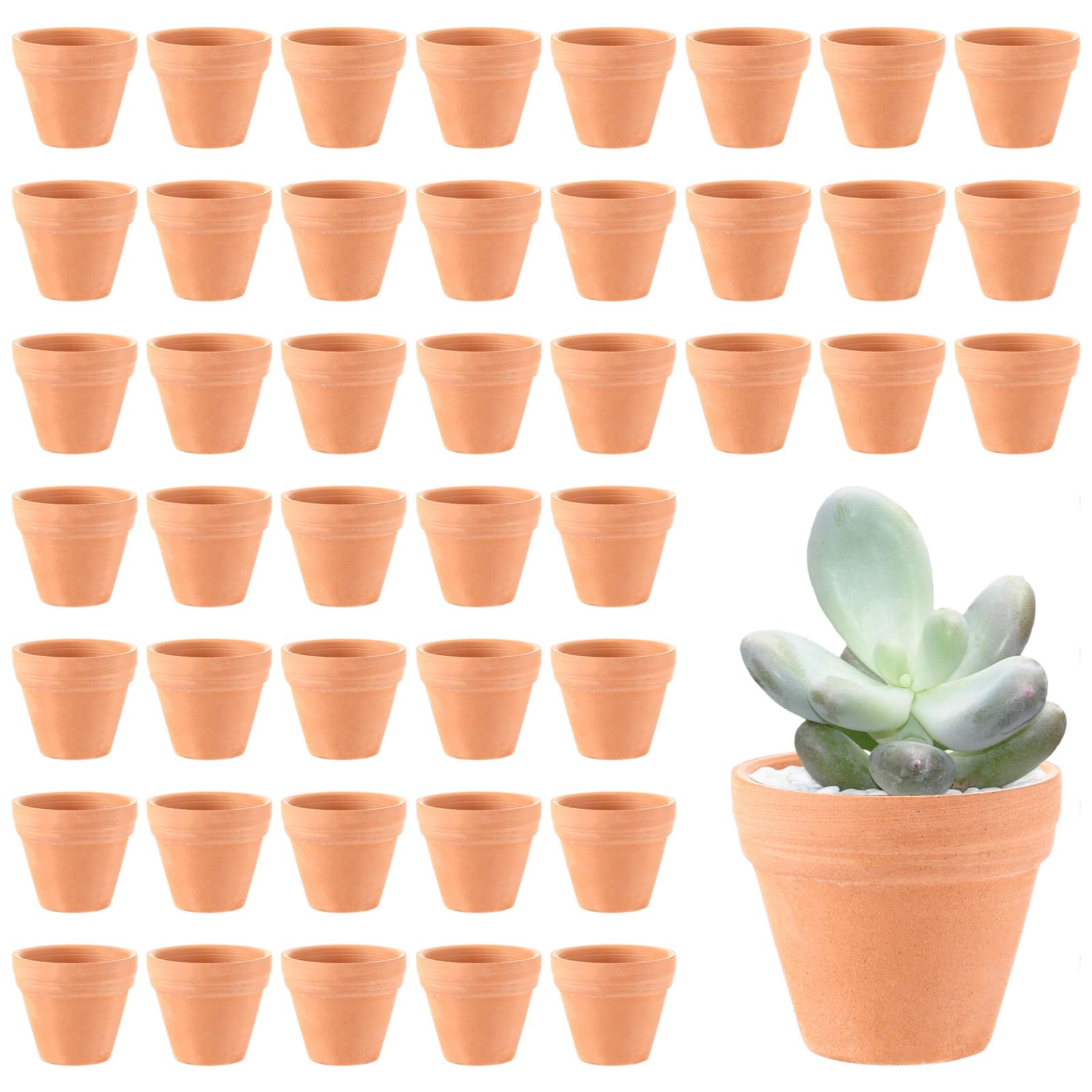 Generisch SHUESS 48er Mini Blumentöpfe aus Ton 3,5 x 3 cm – Tontöpfe Klein mit Entwässerungsloch zum Basteln – DIY Blumentopf Ton Terrakotta – Blumentopf zum Bemalen für Sukkulenten Kräuter Deko Garten