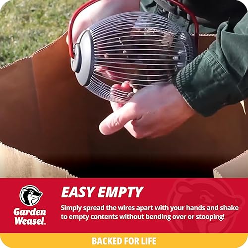 Miniatura 10 de Garden Weasel Nut Gatherer 95314 - Rodillo mediano para patio, recoge nueces, bellotas grandes, bolas de chicle dulce, nueces de nogal y más de 0.75