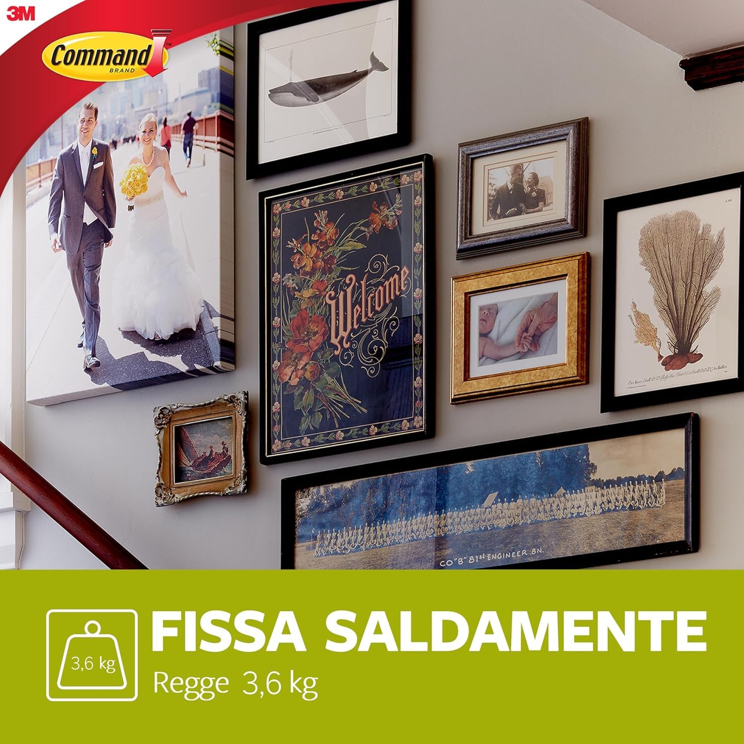 Command Chiodo Adesivo Universale XL per Cornici - 4 Ganci e 10 Strisce Adesive - Fino a 3,6 kg