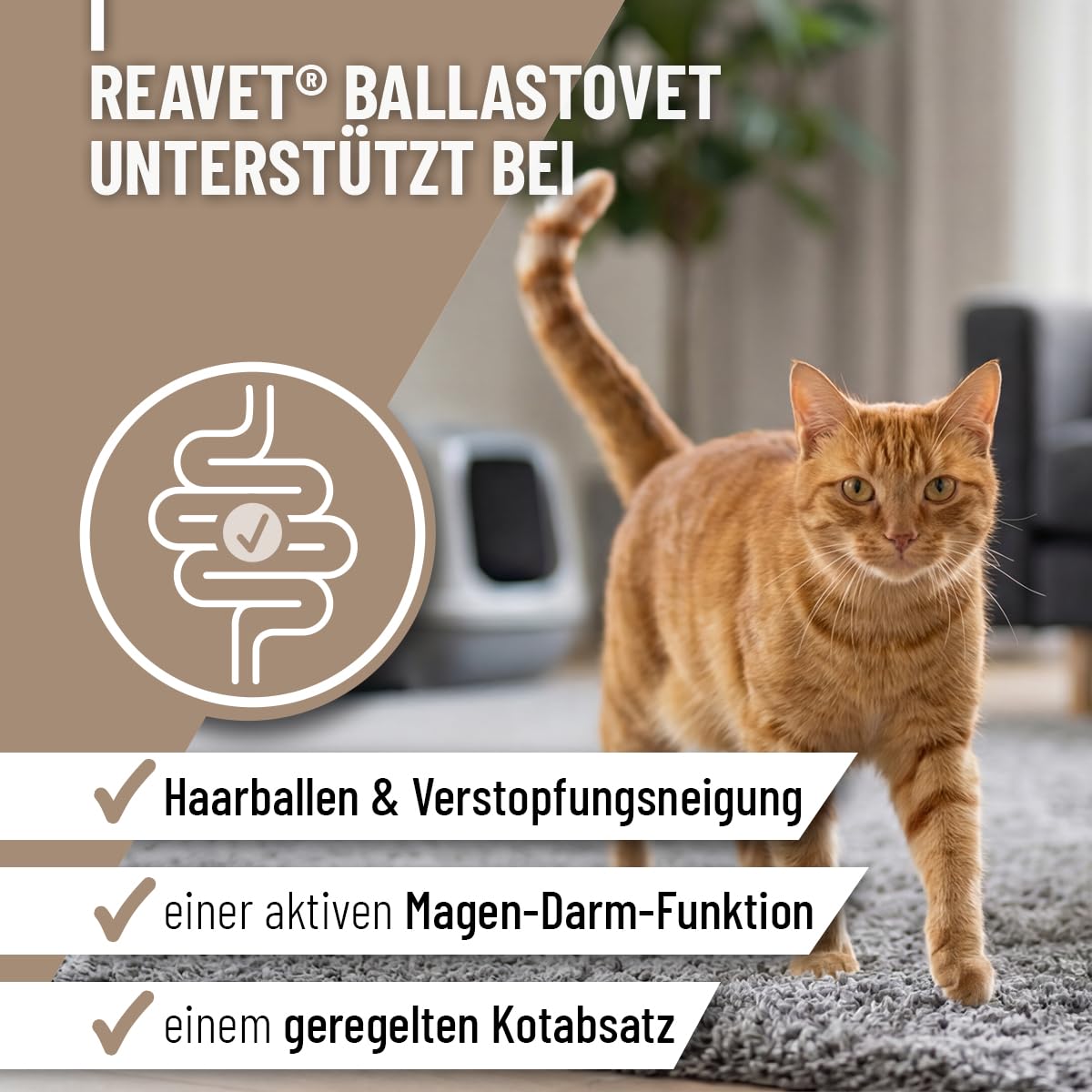 ReaVET BallastoVET pour chat 50 g – Soutien rapide en cas de constipation, en cas de constipation aiguë et chronique et de matières fécales solides, aide à la digestion, aide rapide en cas d'inertie