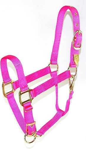 Hamilton Halter de nailon de 1 pulgada con barbilla ajustable, rosa intenso, tamaño promedio