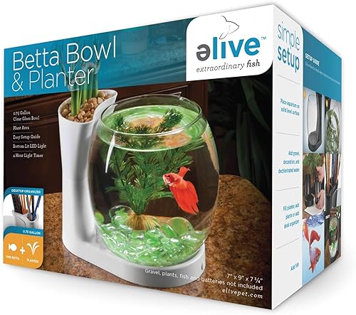 Elive Betta Fish Bowl / Betta Fish Tank con maceta, acuario pequeño de 0.75 galones, temporizador de luz LED, color blanco