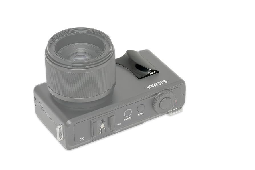 SIGMA - SIGMA  DP3Merrill+フラッシュ+グリップ　モカモカ SIGMA DP3Merrill+フラッシュ+グリップ モカモカ様専用