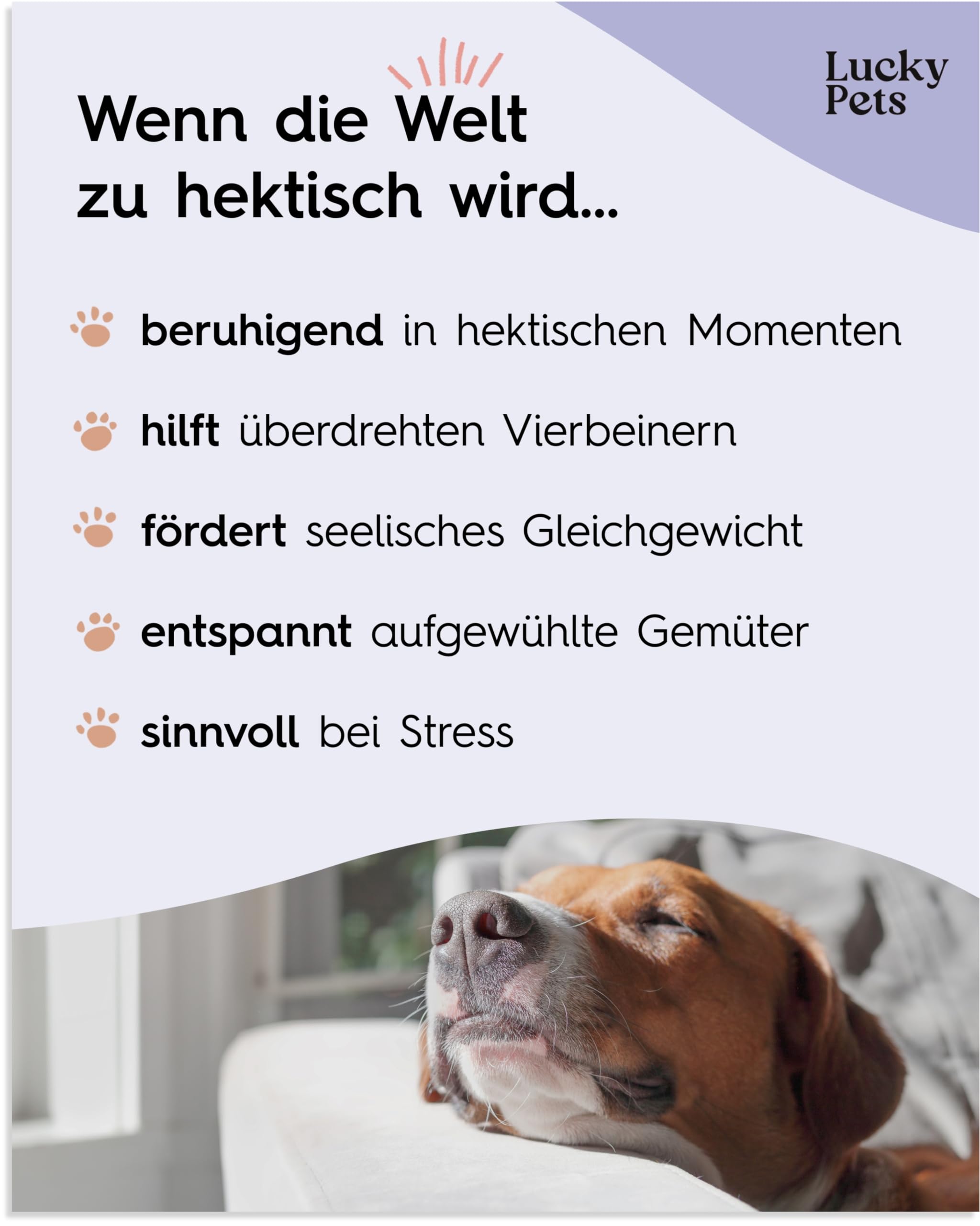 Lucky Pets Beruhigungstabletten für Hunde 150 Stück – Mit L-Tryptophan, Baldrian und Hanfsaat – Für Stress, Angst, Silvester und Reisen – Beruhigungsmittel für Hunde – Made in Germany