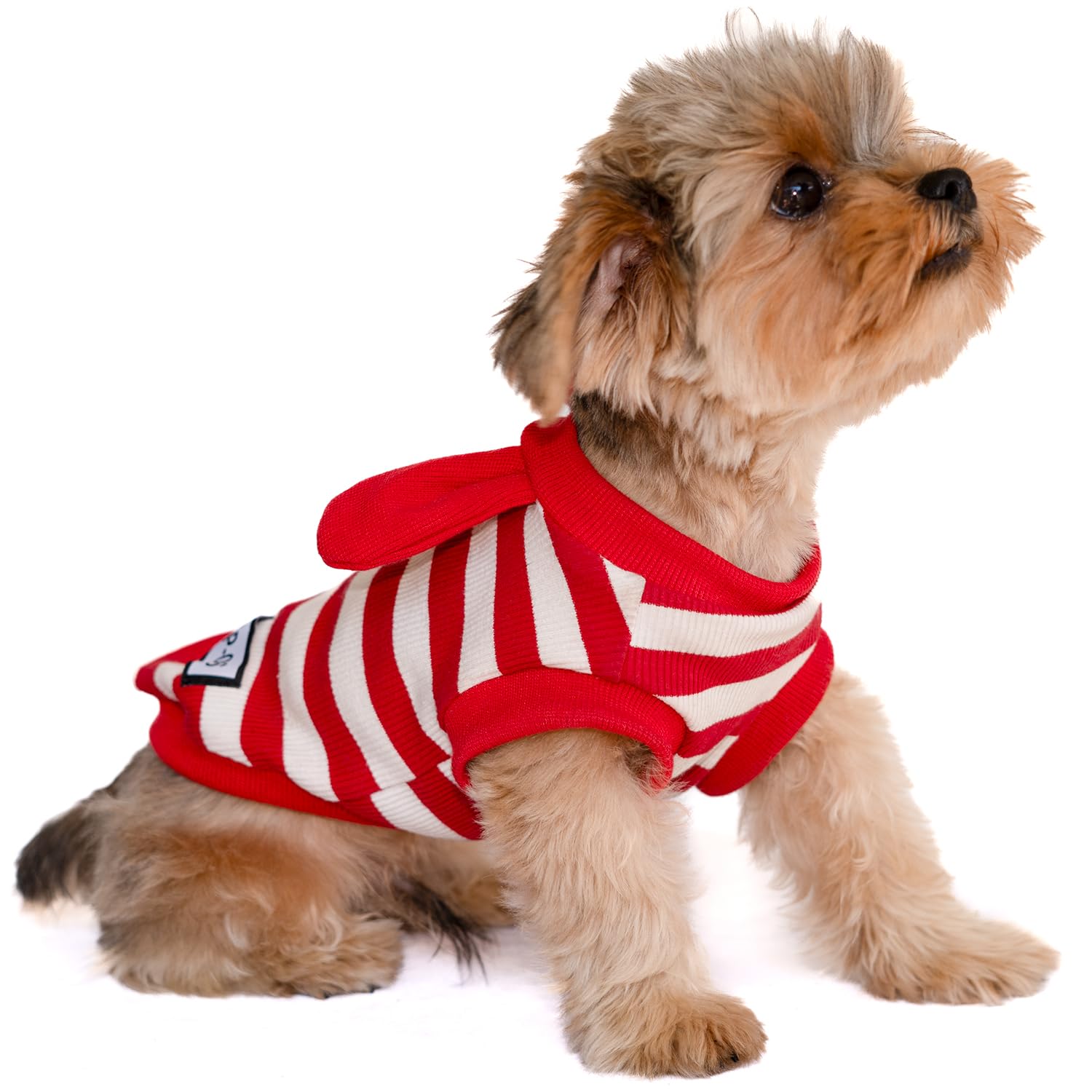 Soft Cotton Striped Shirt,Small Dog Christmas Bunny Costumes Rabbit Clothes for Easter Day Halloween for Small Dogs Teacup Dog Chihuahua Yorkie Boy or Girl-Red and White Stripes S