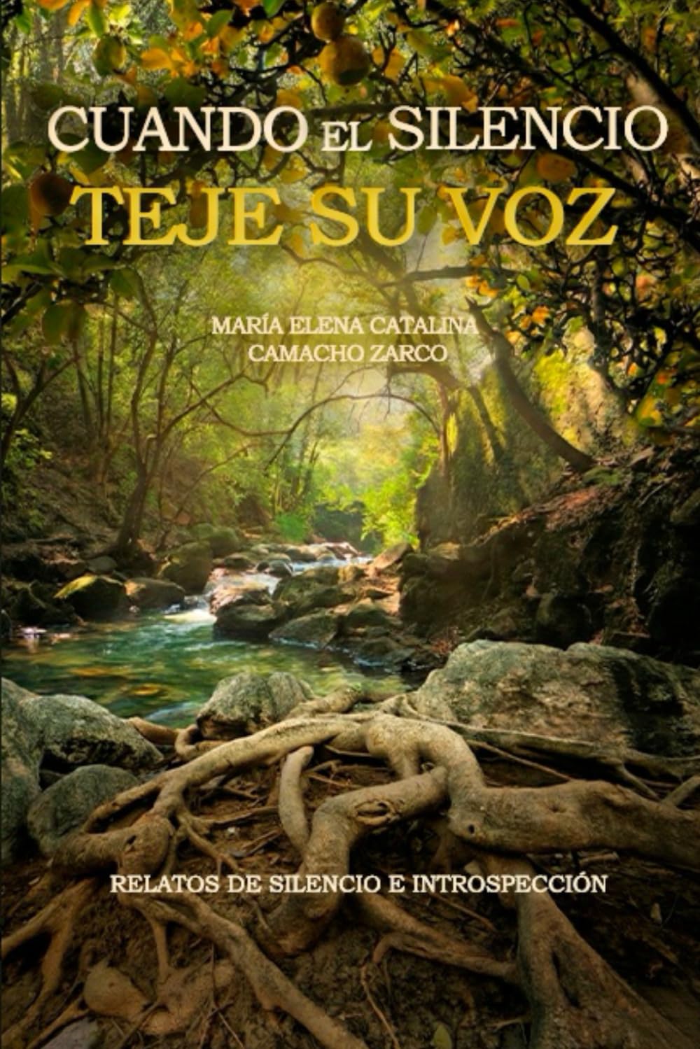Cuando el silencio teje su voz: Relatos de silencio e instrospección