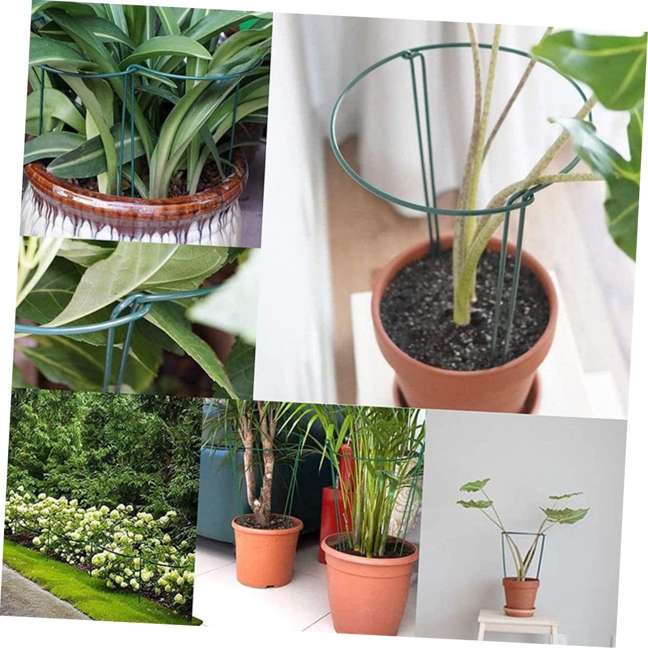 Milisten Half Round Plant Support Stakes Sturdy Iron Plant Supports 6-Piece Set for Hydrangeas and Vines