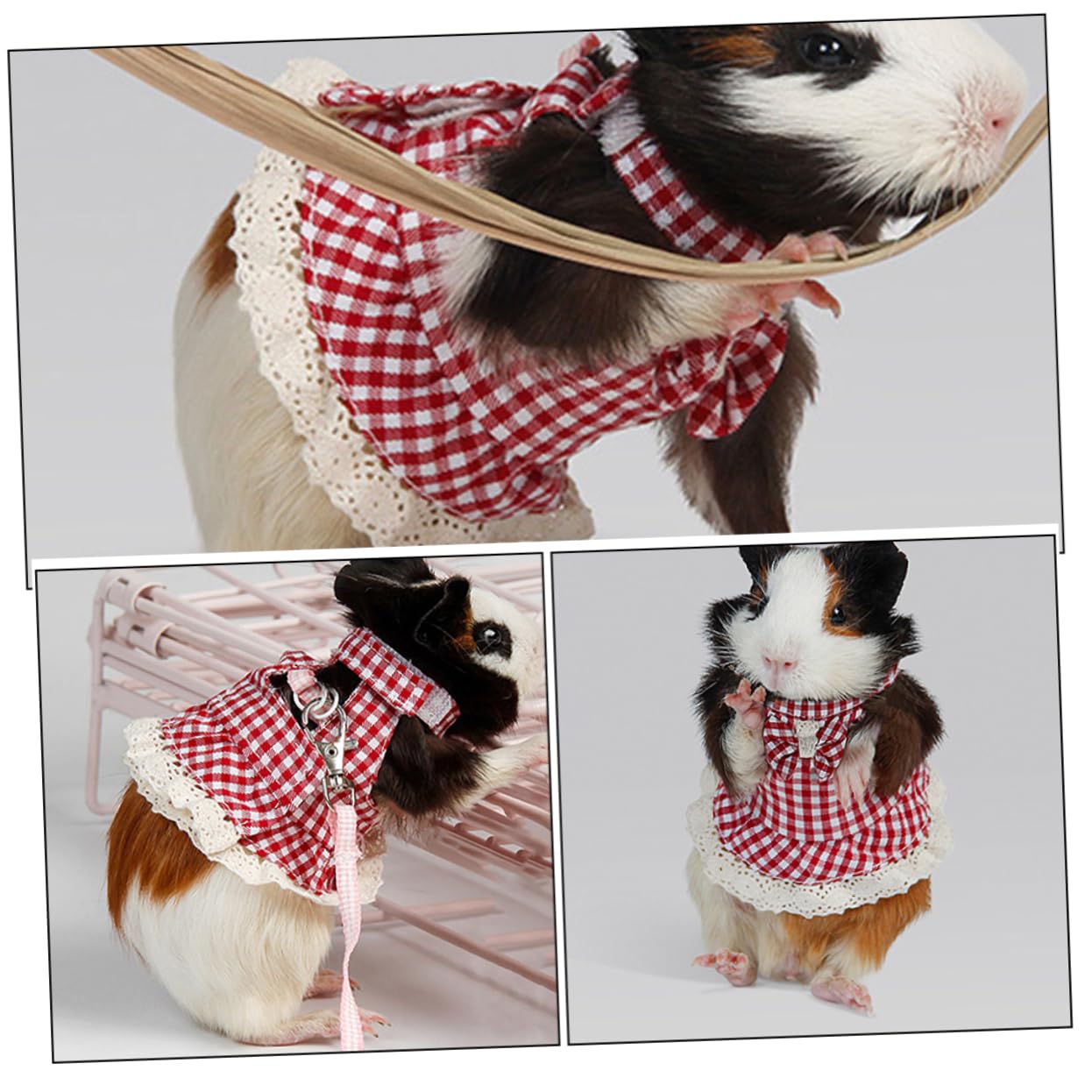 Yardwe Set Da 5 Pezzi Per Piccoli Animali E Guinzaglio Di Trazione Per Furetti E Gattini Design Robusto E Confortevole