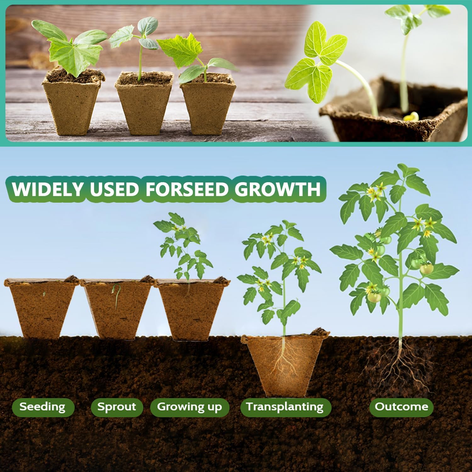 Vassoi per la Germinazione dei Semi, 10 Pezzi Semenzaio Germinazione, Vasetti Biodegradabili per Semina, Vasi da Coltivazione, Semenzaio da Torba con Etichette per Piante e Strumento di Semina