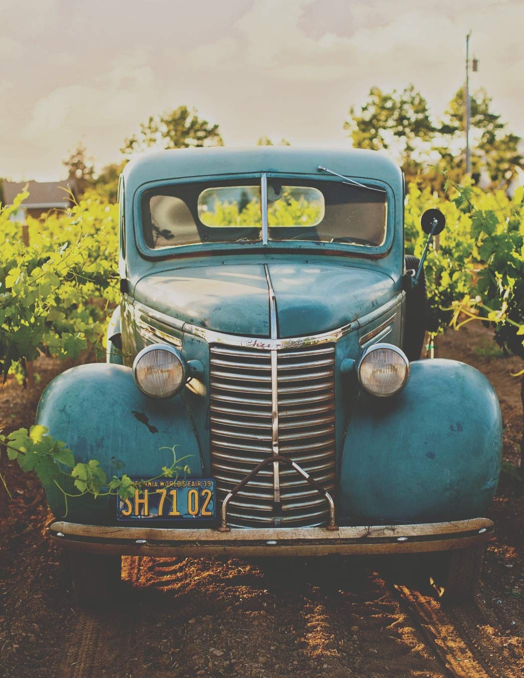 Classic Car Bohemian Americana Chemistry Notebook: Large Hexagon Paper