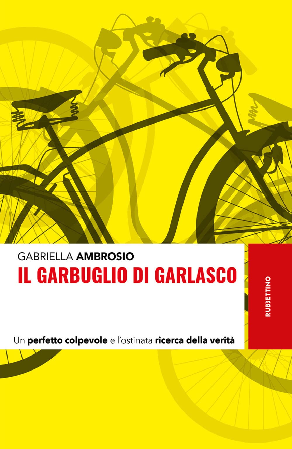 Il Garbuglio Di Garlasco. Un Perfetto Colpevole E L'ostinata Ricerca Della Verità - 4