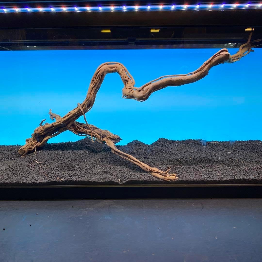 MTW-6748 蔦流木1点物 90cm水槽用流木 アクアリウムMTW-6749 蔦流木