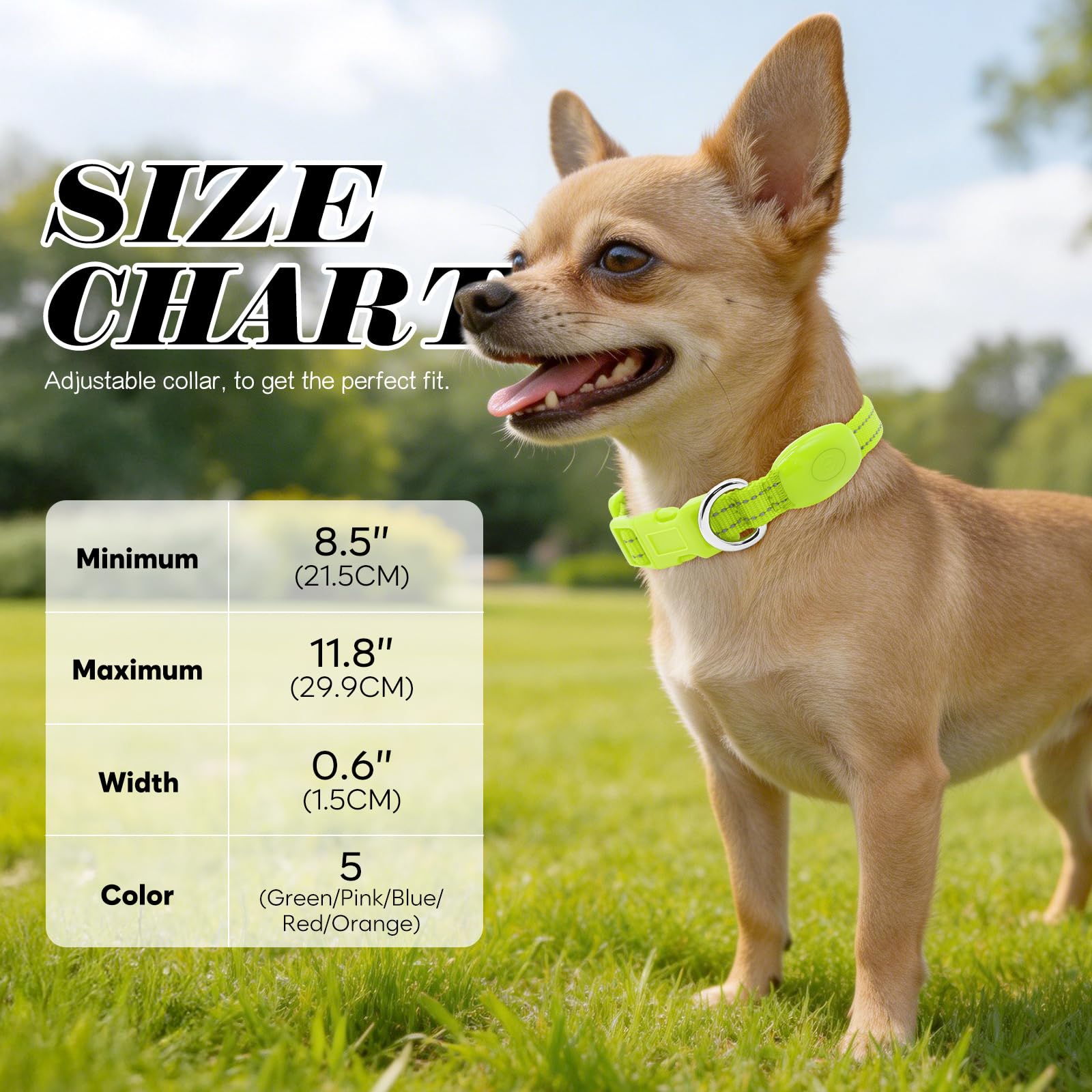 Clan_X cane collare, USB ricaricabile illuminazione LED per cani, Glow in Dark, riflettente collari Keep your Pets visibile & Safe, XS (8.5-11.8inch/21.5-29.9cm), Verde fluorescente