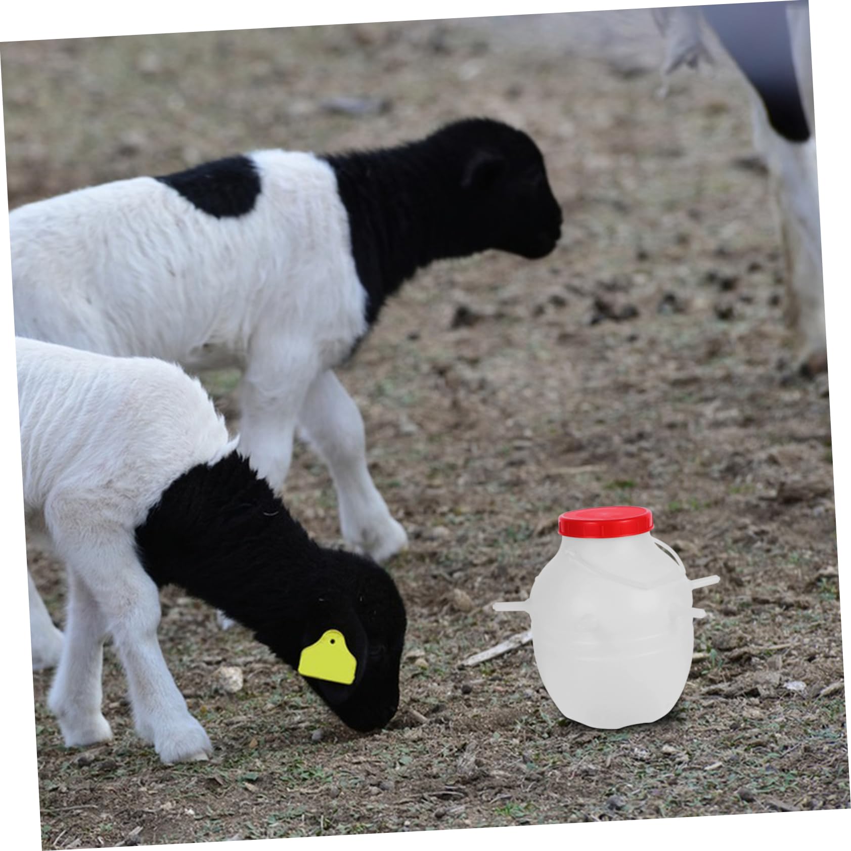 Milisten Biberon per Agnelli 8l con Tettarelle in Silicone Secchio Alimentazione Grande Capacità per Capre e Animali Ragazzo Ragazza