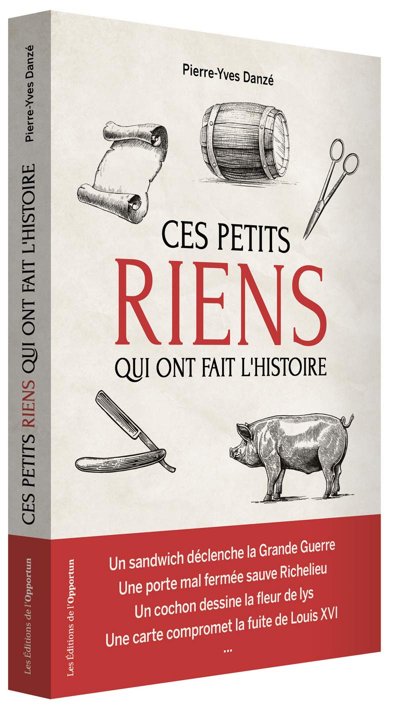 Ces petits riens qui ont fait l'histoire: Hasards, coïncidences et malchances, de Jules César à Charles de Gaulle