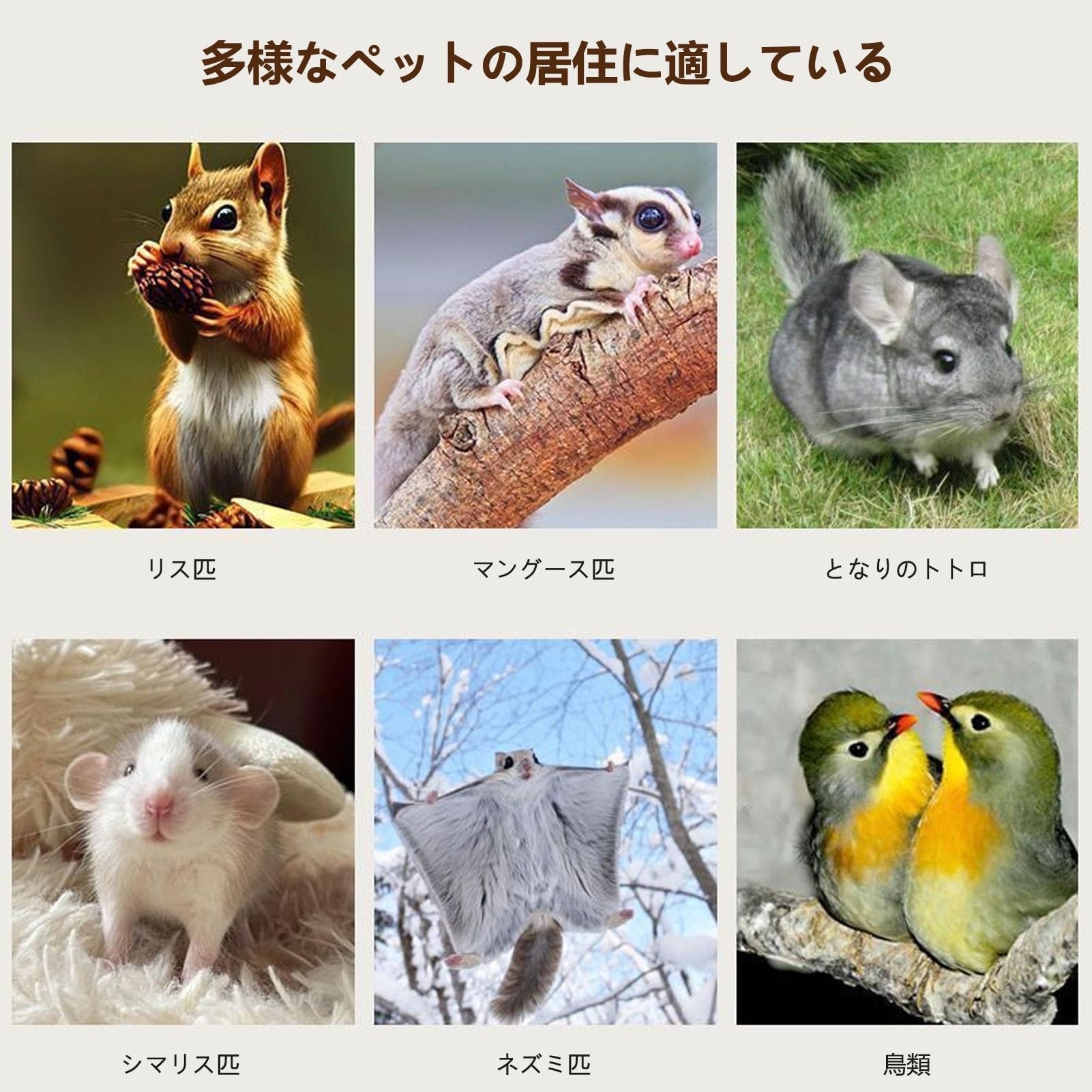 Amazon | チンチラ ケージ モルモット ケージ チンチラケージ 特大金属