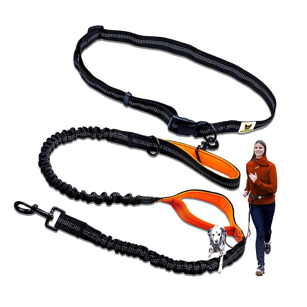 Guinzaglio Mani Libere Per Jogging Con Cintura - Elastico E Riflettente Per Cani Fino 70kg