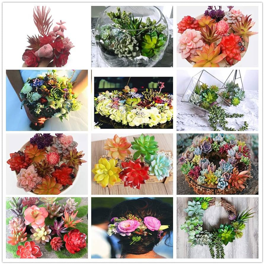 サボテンと人工花の装飾用植物 Amazon.co.jp: 人工多肉植物 13個 詰め合わせ ブルー フェイク