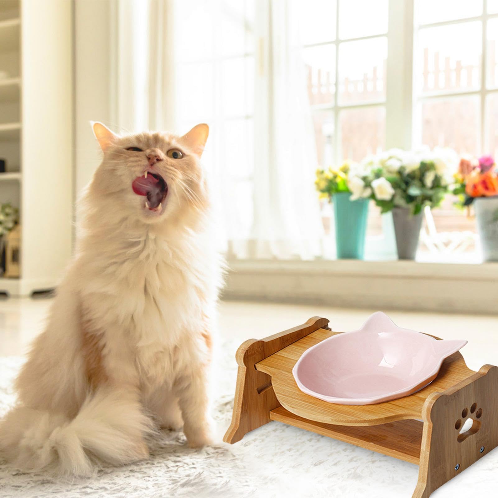 Ciotola per gatti anti-vomito, ciotola rialzata per animali domestici, ciotola per gatti singoli, piatti alti per gatti, ciotola protettiva per gatti – antiscivolo, anti-rumore, inclinata, in ceramica