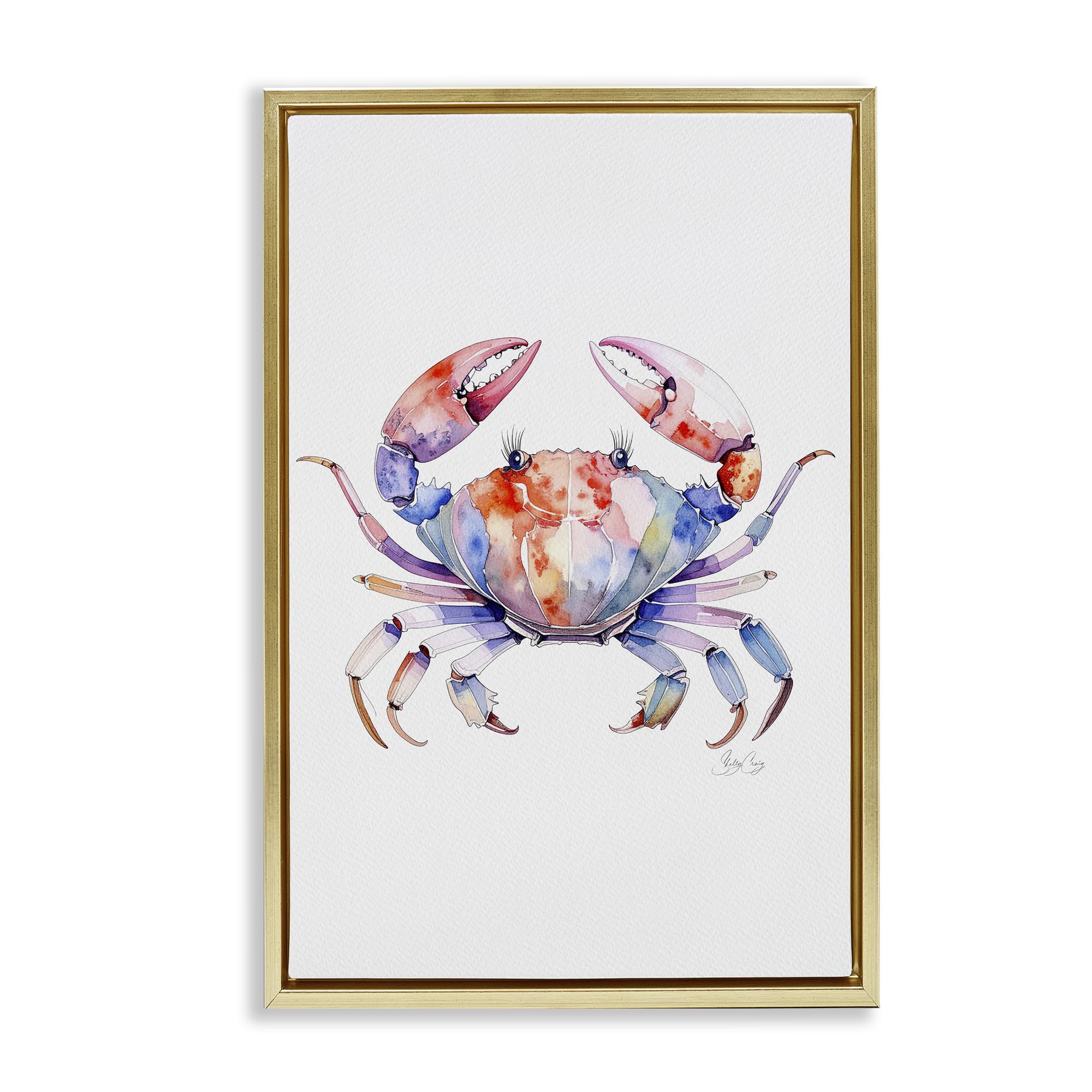 Stupell Industries 'Tide Dancer Crab', Floating Frame Canvas Art, Gold, 21 x 31 Inches, Easy to Hang and Sturdy, Made in USA, by Shelly Craig