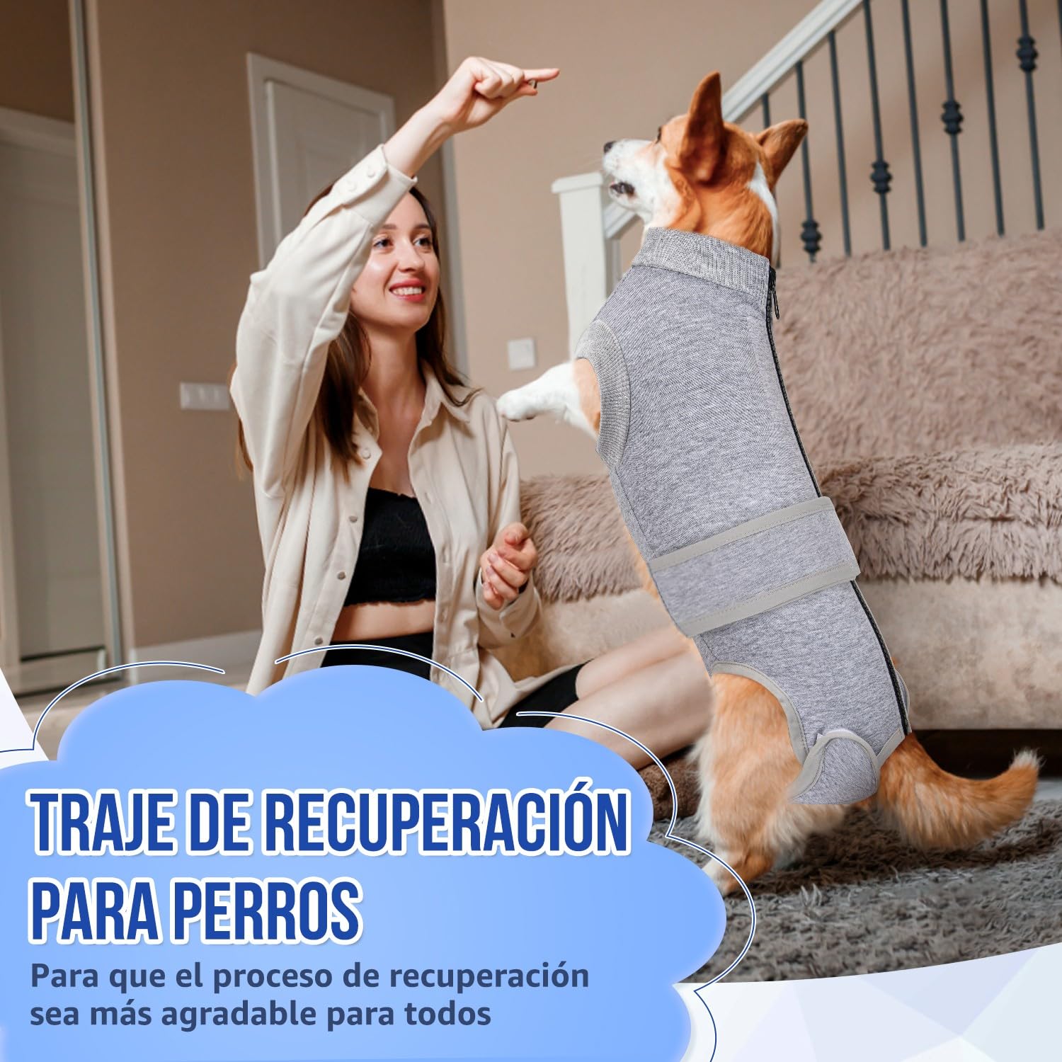 SlowTon Traje de recuperación de cirugía para Perros - Alternativa de Collar en Forma de Cono para Perros después de la cirugía con Cremallera, Camisa de recuperación Profesional para Mascotas