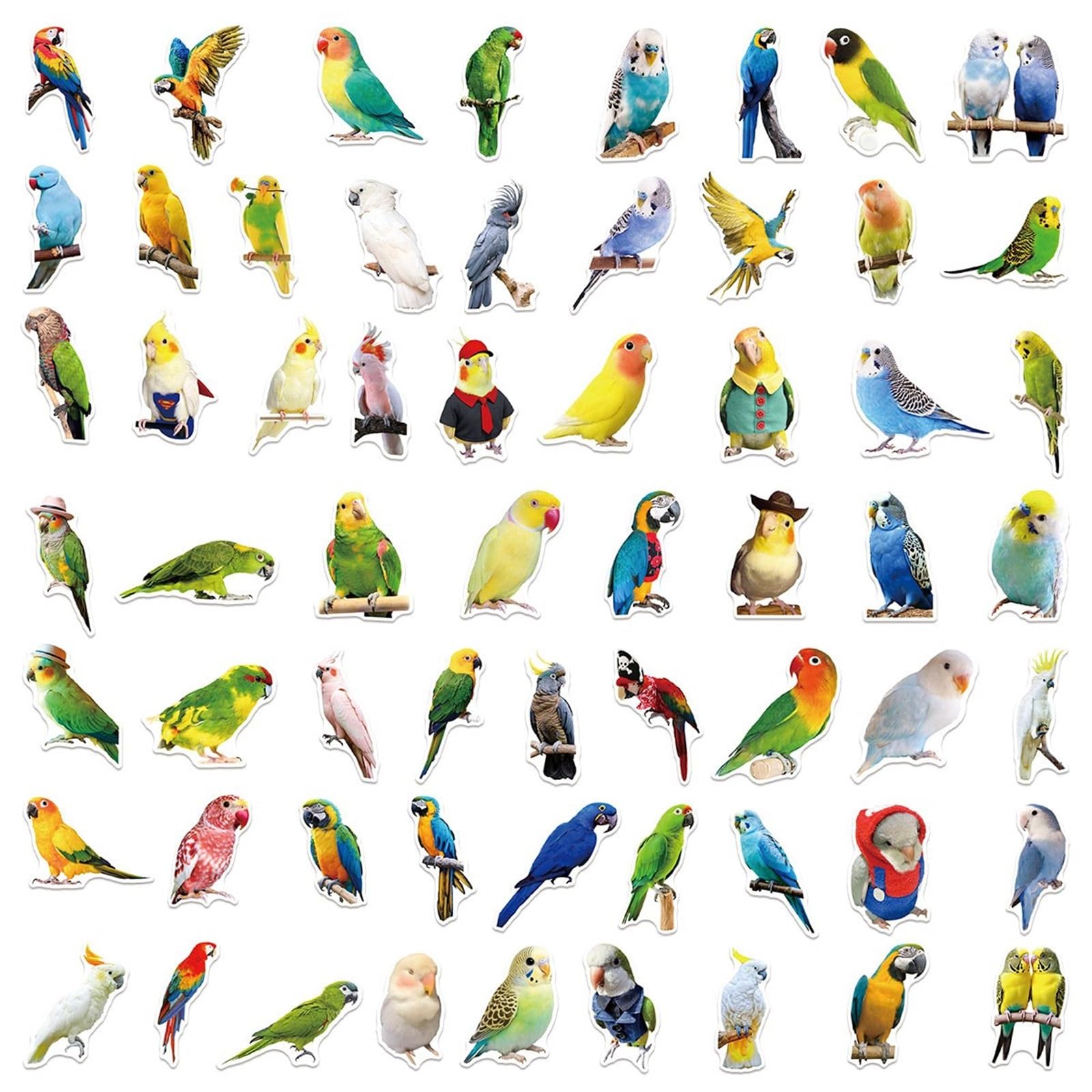 FGLFPXI 50-Pack Stickers for Phone Case Laptop Luggage Guitar Notebook Stationery Decals