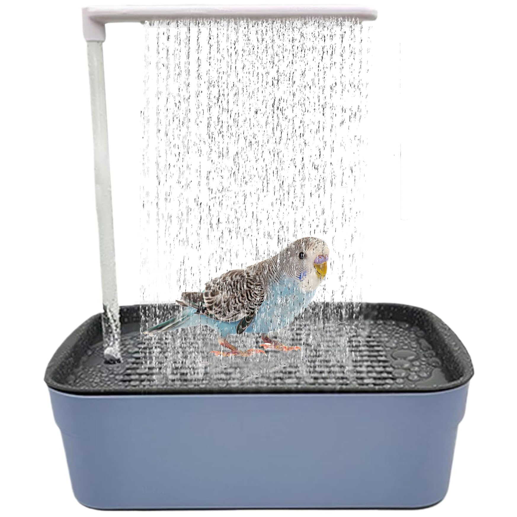 Bain d'oiseaux électrique pour perroquet s'amusant sous la douche dans une grande baignoire amovible