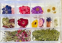 Review Image by Bizzer Bee Bizzer Bee