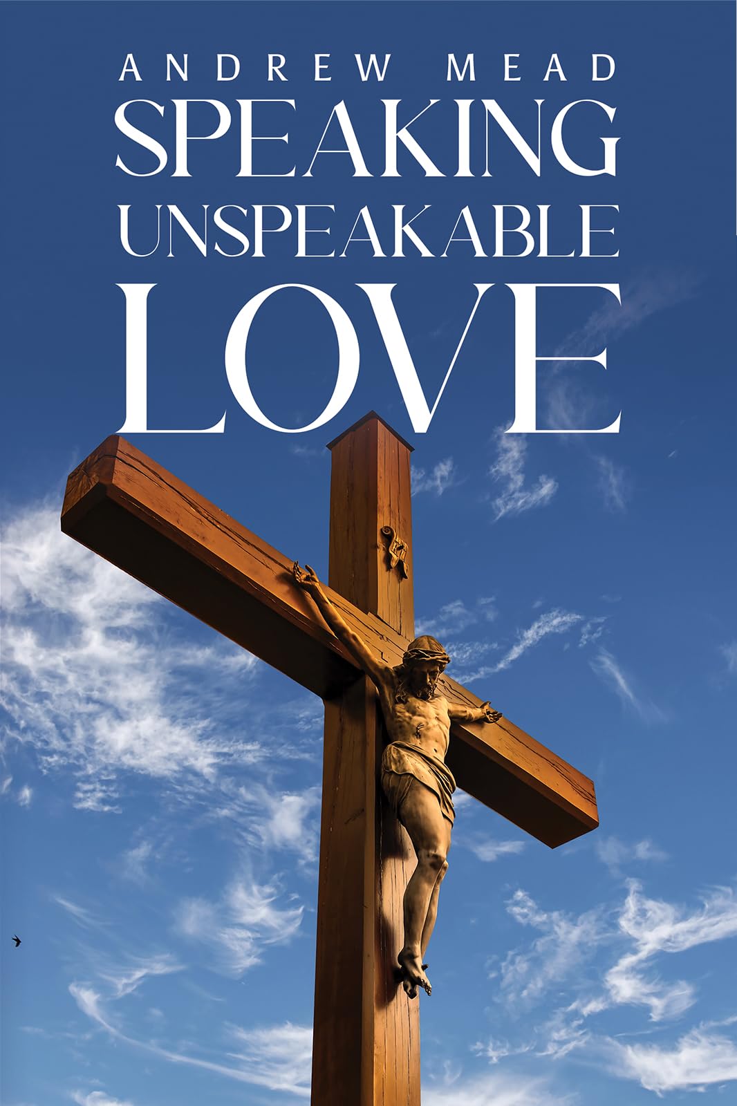 Speaking Unspeakable Love by Andrew Mead PAPERBACK 9781398429376