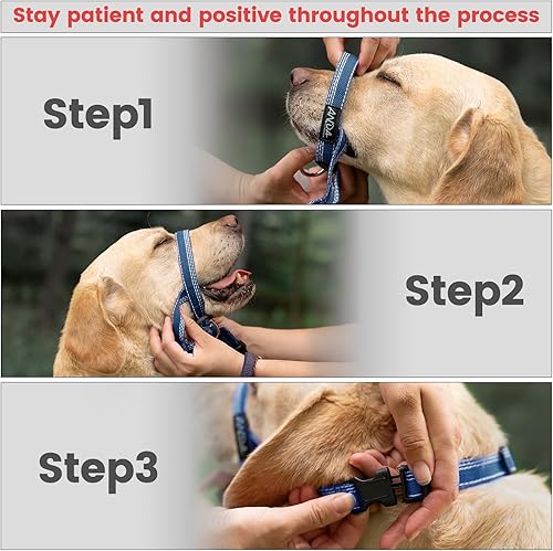 Miniatura 41 de ANDA Gentle Leader - Collar para cabeza de perro ultraligero sin tirones, correa de bozal ajustable transpirable que evita tirones y zancadas, Negro