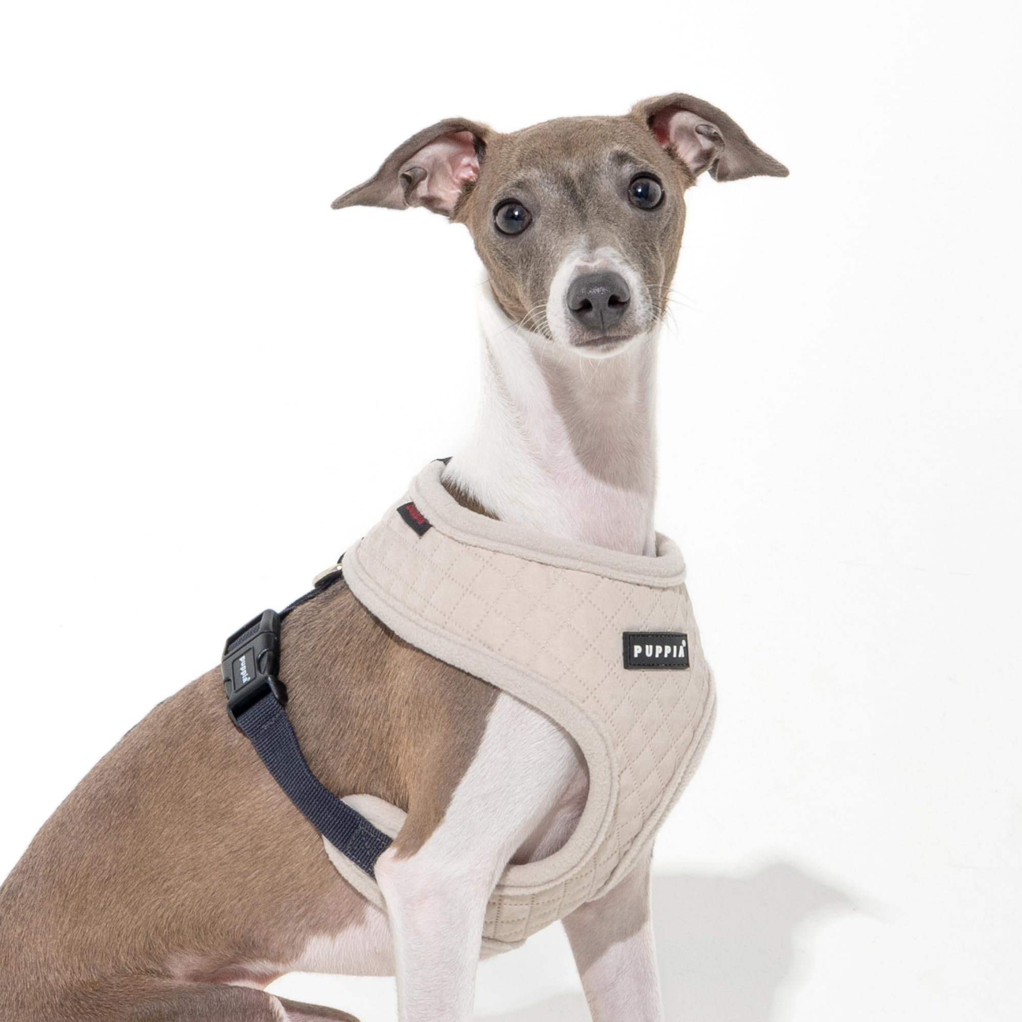 IRVIN HARNESS A Dog harness Cream S - Image 3