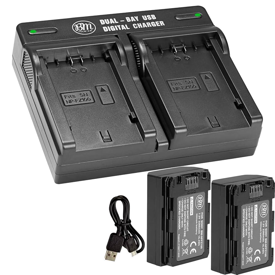 Amazon.com : BM Premium 2 Pack of NP-FZ100 Batteries and