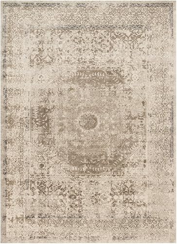 Loloi Century - Alfombra de área de 6 pies y 7 pulgadas x 9 pies y 2 pulgadas