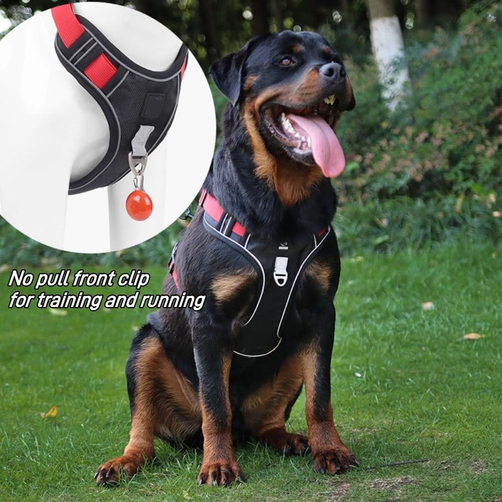 Arnés para Perros Pequeños, Medianos Y Grandes, Antitirones, con Tiras Reflectantes Y Asa De Control, Ajustable Y Cómodo para Pasear Y Entrenar,Púrpura,XL