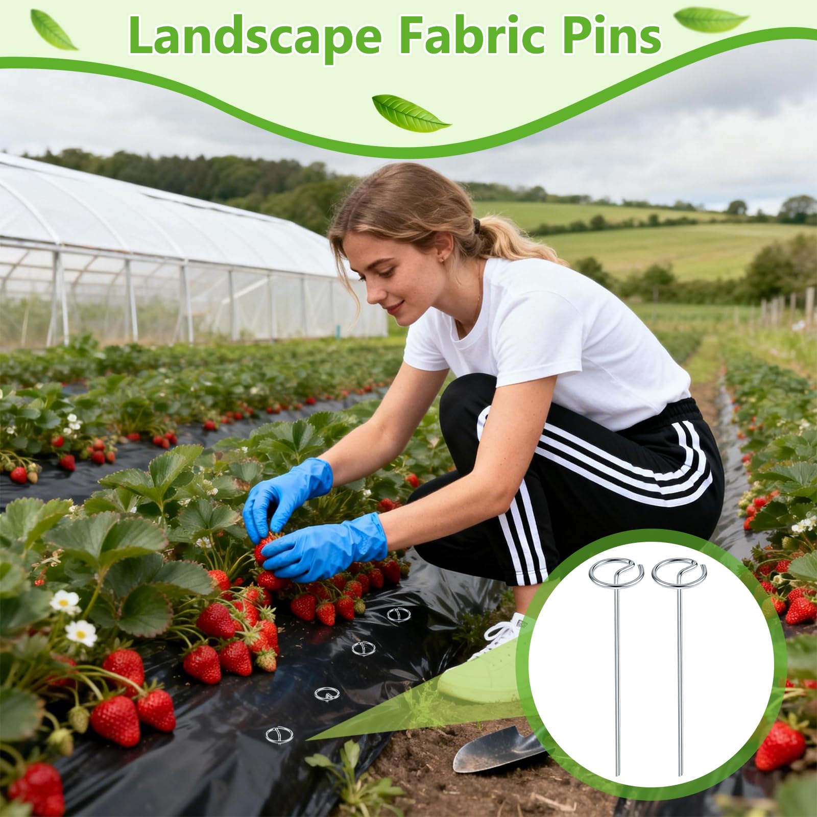 200 piezas de tela de paisaje alfileres en forma de G Grapas de acero al carbono galvanizado estacas de jardín 6 x 1,2 pulgadas para protección de malezas para jardín, patio, cubierta de