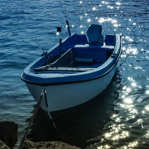 Miniatura 7 de 4 líneas de muelle elástico, líneas de muelle elástico de 2 pies con cuerda de amarre de clip inoxidable 316 para acoplamiento para P-W-C, Kay-ak,