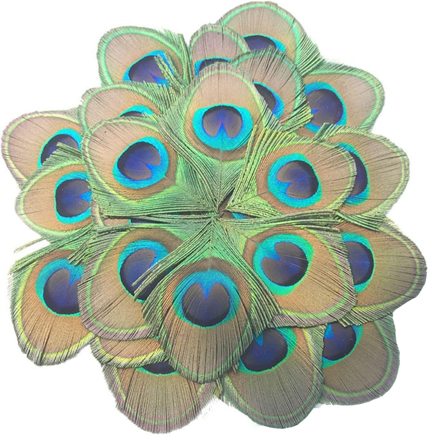MWOOT 30 Pieces Peacock Feathers, Green Peacock Eye Feathers for DIY Crafts Art, Trimmed Feathers for DIY Vintage Hair Accessories Carnival Revelry Masquerade Costume Wedding Holiday Party Decoration