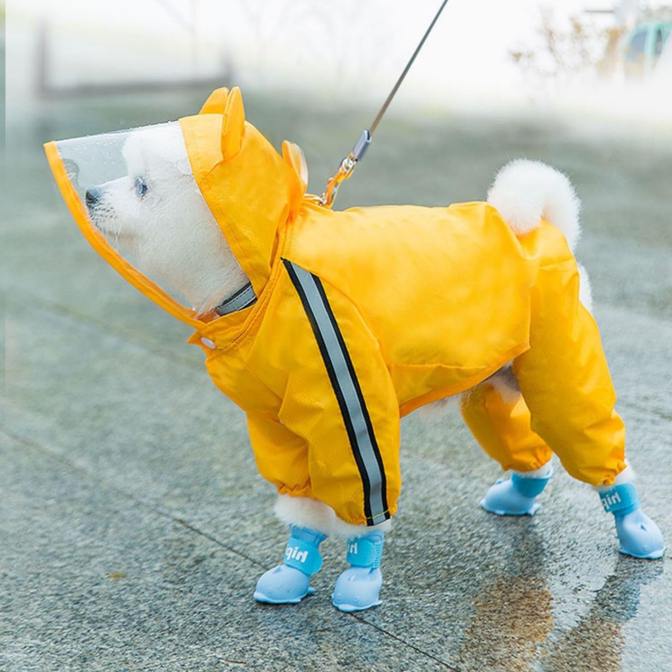 Dog Raincoats Rain Snow Coats Waterproof Clothing (4 Four Legs) Raincoat Full Cover Dogs Hooded Transparent (Yellow Colour with Decorative Hooded Ears) (14) 3