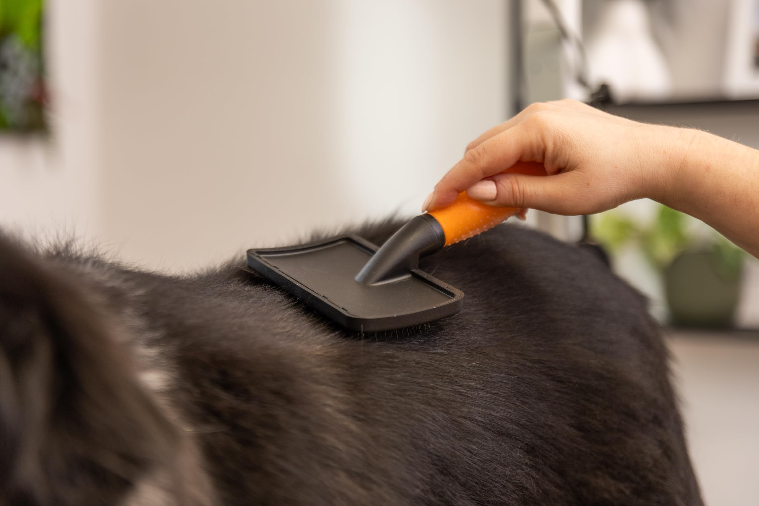 WAHL Multi Cut - silencioso, con cable, para uso doméstico, con cuchillas afiladas con precisión + WAHL Slicker Brush Medium - cepillos alisadores para animales de pelo largo y corto