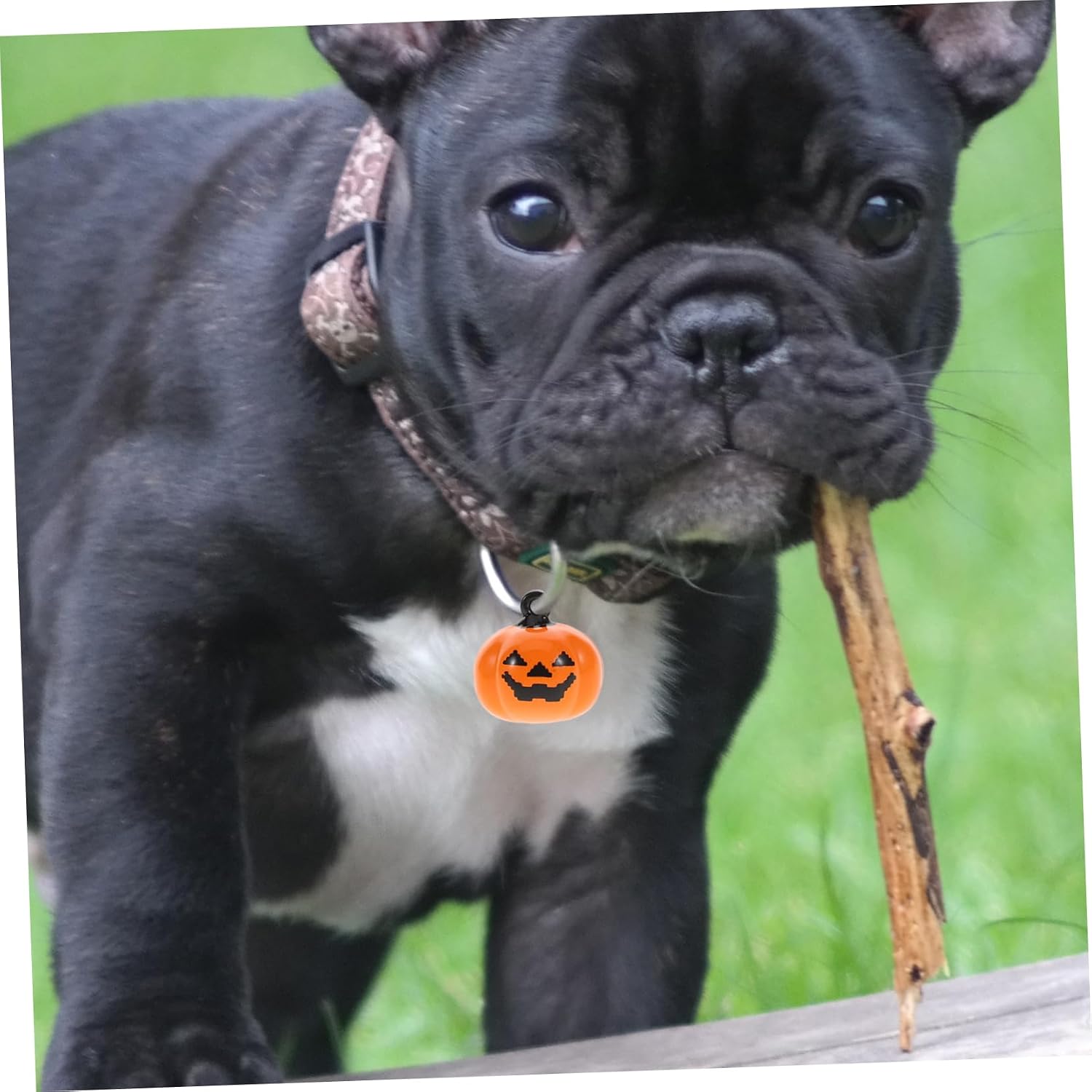 TOYANDONA 20pcs Pumpkin Pet Bells Copper Pendant Halloween Decoration Orange Cartoon Collar Charms for Dogs Cats Copper Accessories