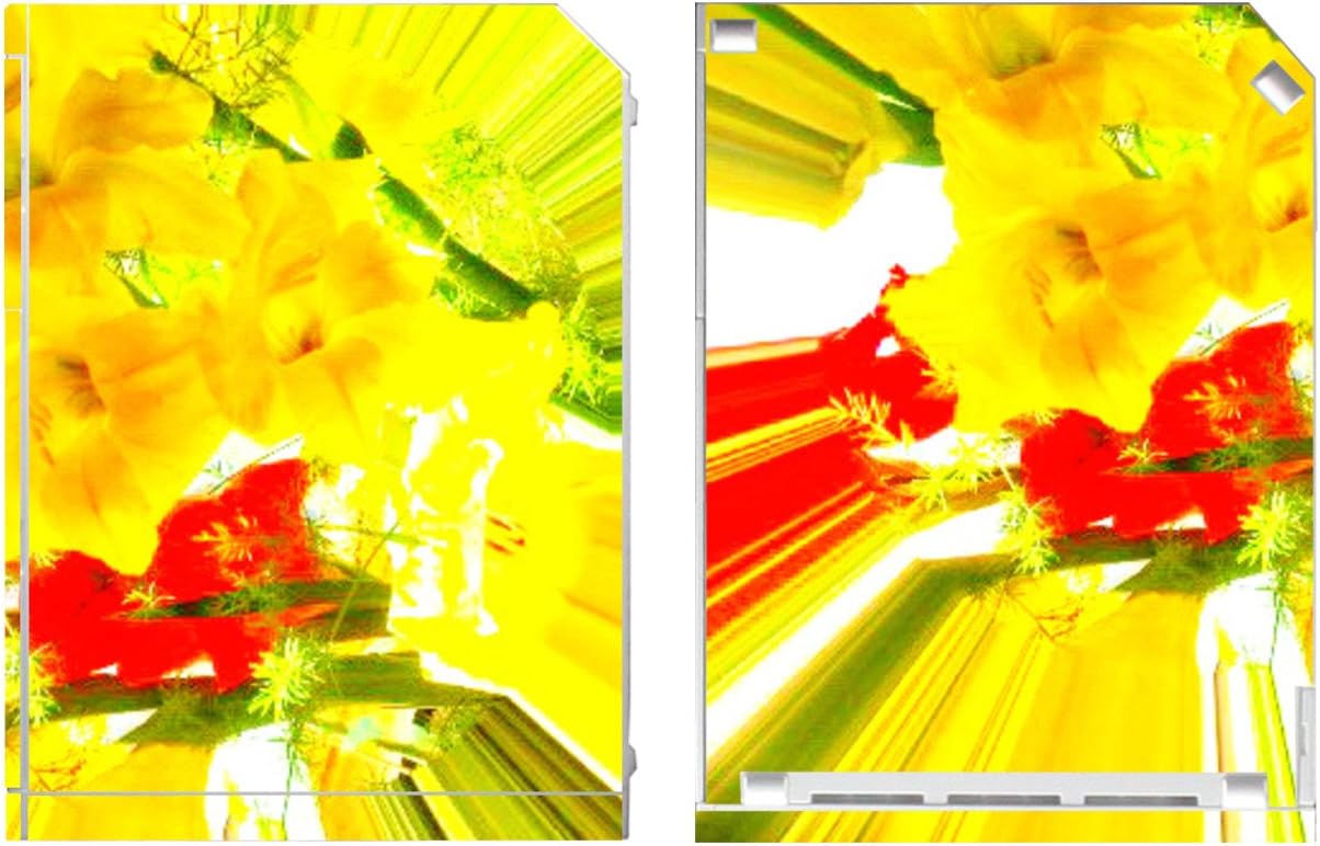 'Disagu Design Skin for Nintendo Wii stehend – Motif Gladiolen