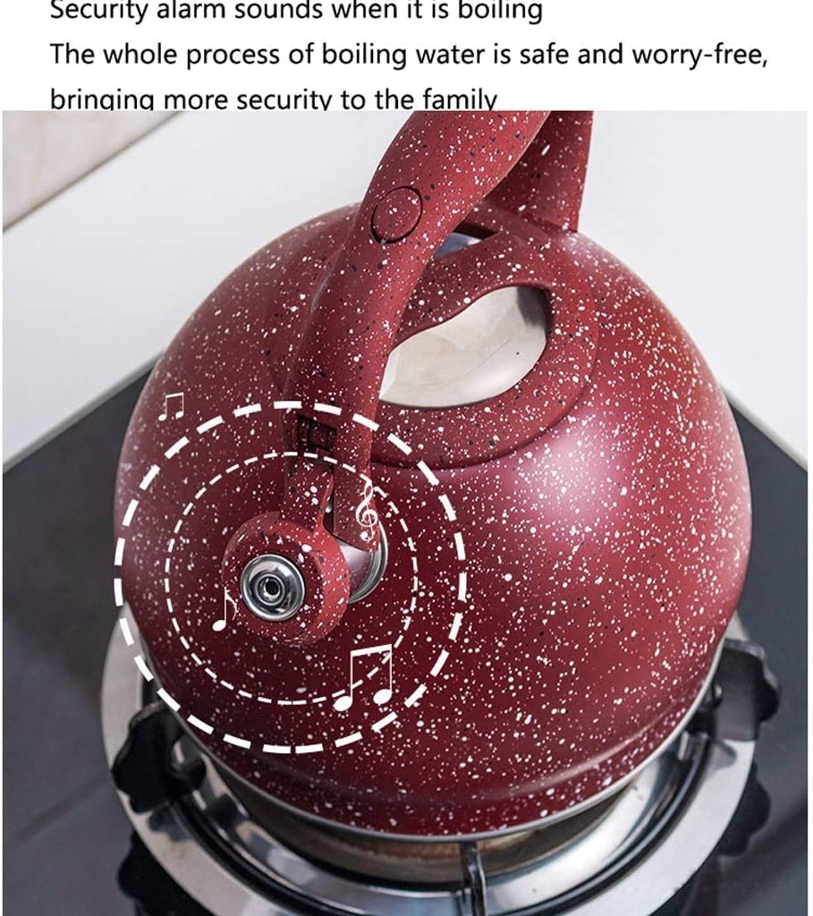 Czajnik z Gwizdkiem Czajnik O Dużej Pojemności 3L Gwizdający Czajnik Ze Stali Nierdzewnej Do Wszystkich Płyt Kuchennych Z Ergonomicznym Uchwytem Czajnik Czajniczek Gwizdanie Czajnik Czajnik Kuchenek(D