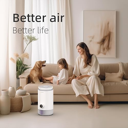 Miniatura 2 de AIRAPEX Purificadores de aire T3 para dormitorio HEPA filtro para alergias humo polvo polen caspa de mascotas olor
