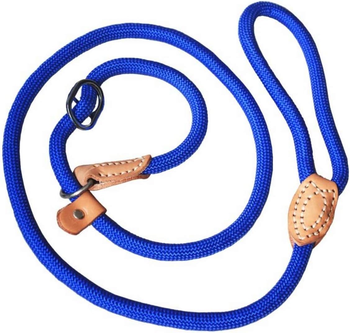 cat litter filter replacement