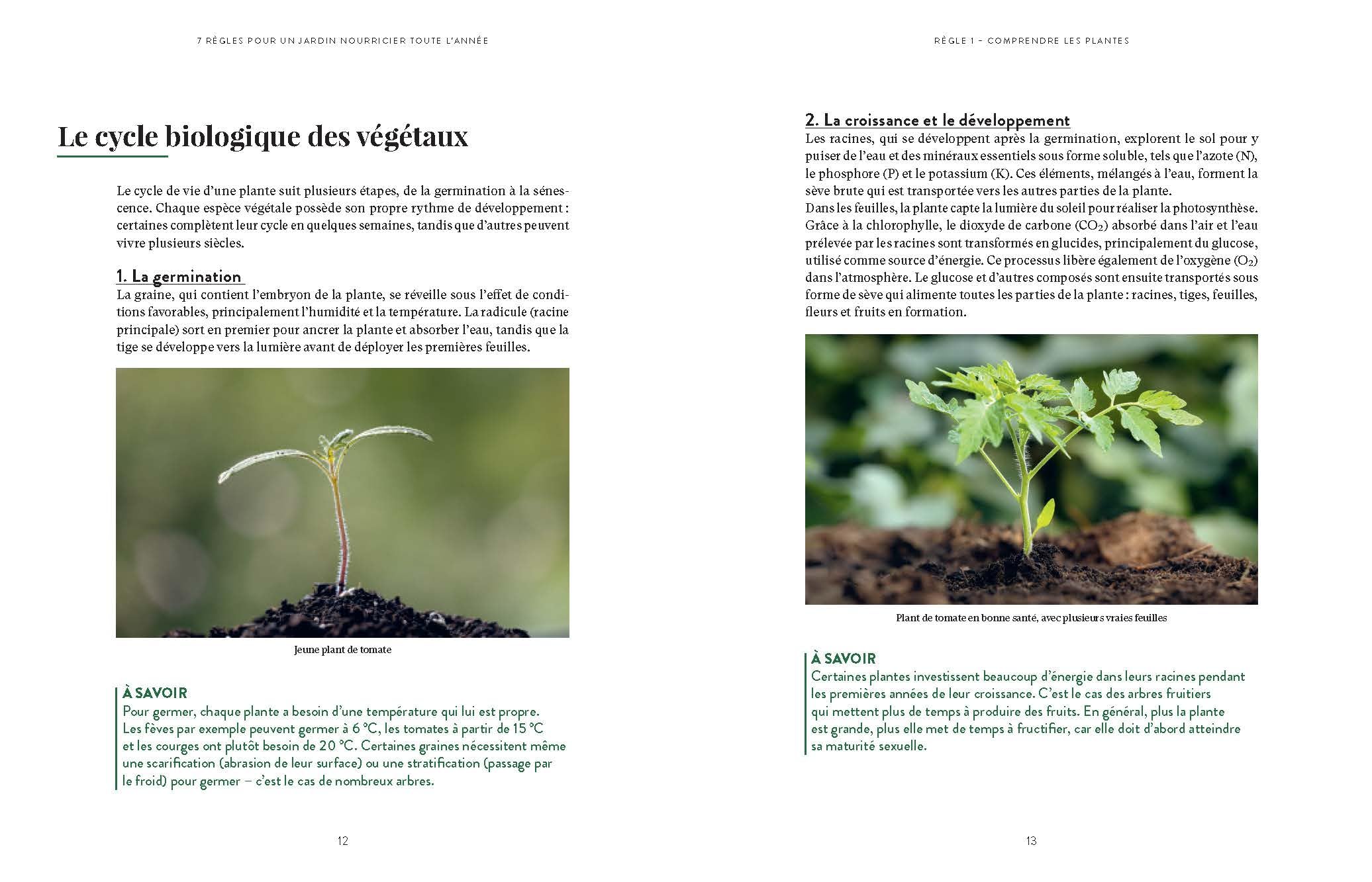 Tout le monde peut jardiner !: Les 7 règles pour récolter légumes, herbes aromatiques et fruits en abondance