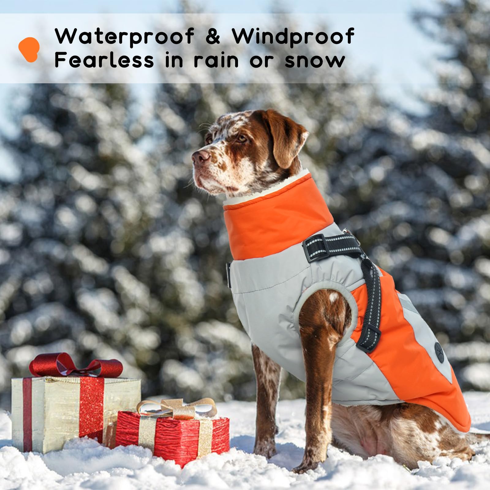 Giacca Impermeabile per Cani, Cappotto per Cani Caldo Inverno Giacca Cani Antivento con Imbracatura Cappotto Neve Cane Gilet Pile Cuccioli Regolabile(Arancione, 2XL)