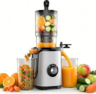 DUMOS Slow Masticating Juicer Machines, Cold Press Juicer with 4.25" Wide Feed Chute, High Juice Yield for Whole Vegetables & Fruits, Easy to Clean, Silver