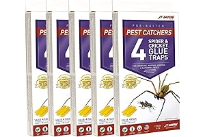 J T Eaton Sticky Traps for Crickets