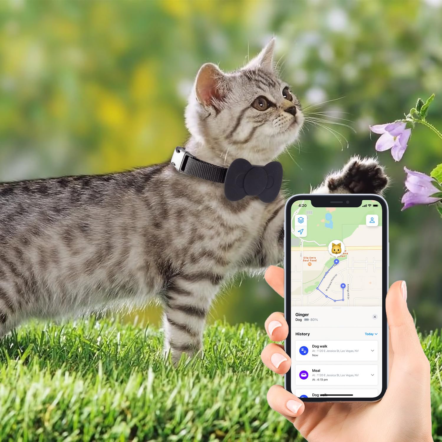 SmartTag - Positionneur de collier pour chat - Pour Apple et Android - Suivez l'emplacement de votre animal de compagnie - Noir et rose